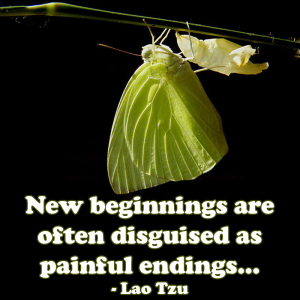 new-beginnings-or-painful-endings